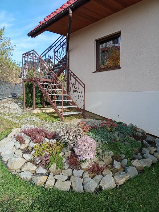 Hortensjowy Zakatek W Pieninach Sromowce Wyzne Exteriér fotografie