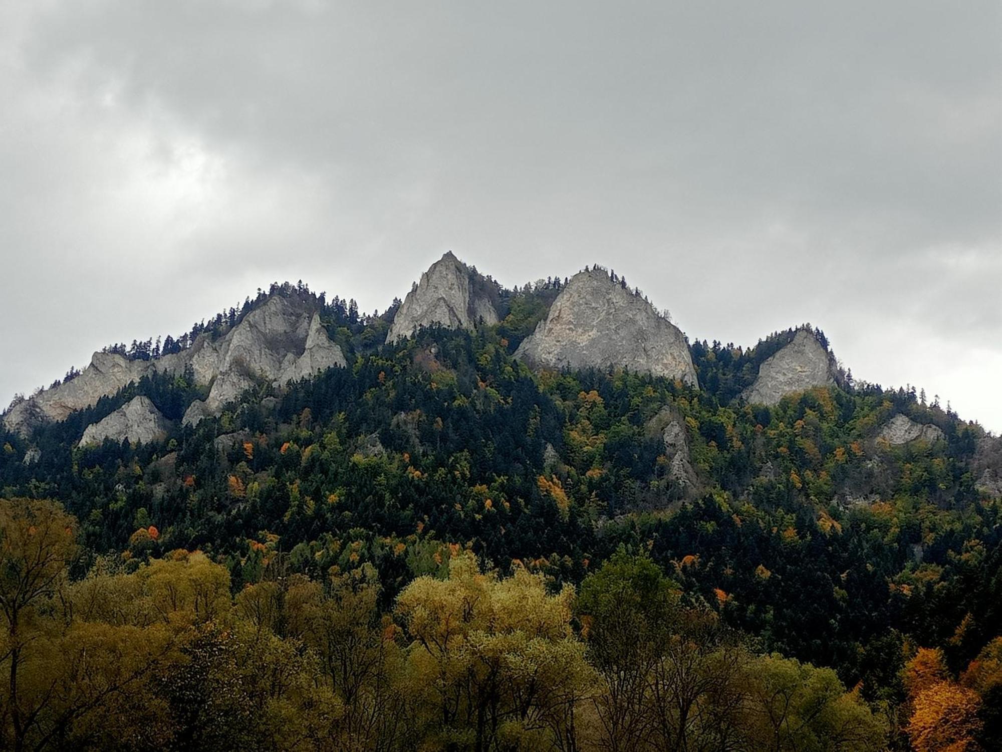 Hortensjowy Zakatek W Pieninach Sromowce Wyzne Exteriér fotografie